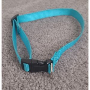 NWOT Small Aqua Collar